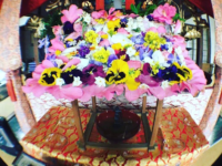 東区中野町・松雲寺様の花御堂です。